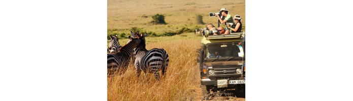 /mansupport/TourPackage/Wildlife Safari Tour	